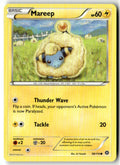 Front of Mareep 38/114 from XY - Steam Siege