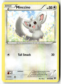 Front of Minccino (87) 87/124 from XY - Fates Collide