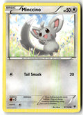 Front of Minccino (87) 87/124 from XY - Fates Collide