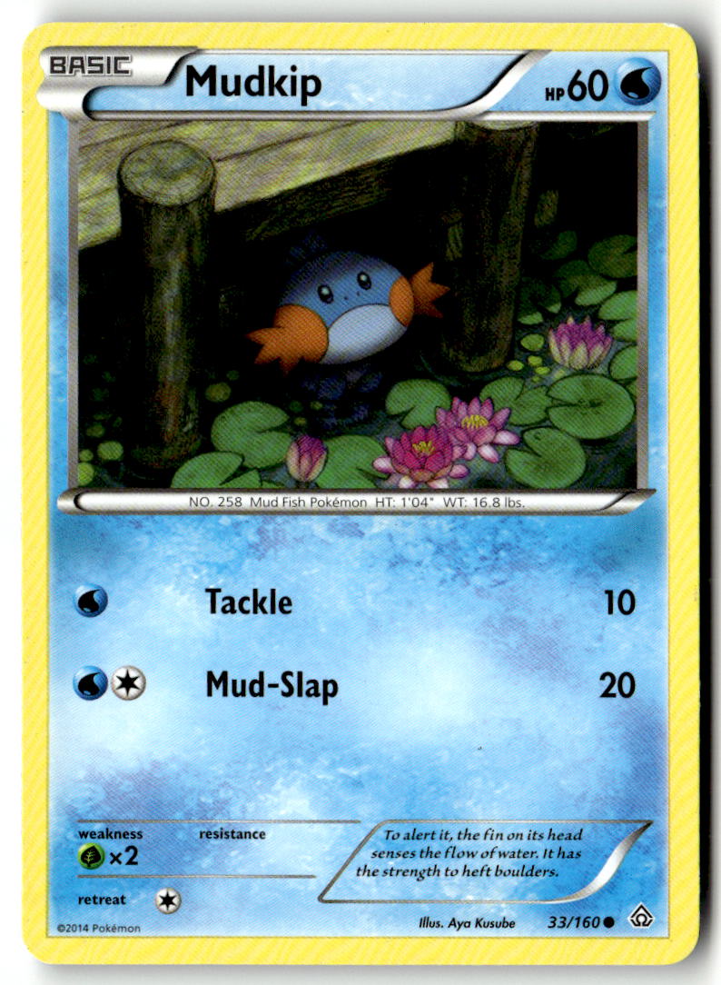 Front of Mudkip 33/160 from XY - Primal Clash