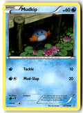 Front of Mudkip 33/160 from XY - Primal Clash