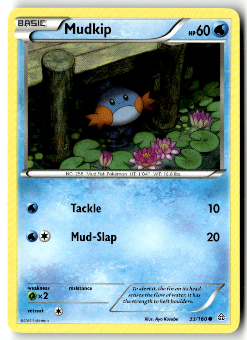 Front of Mudkip 33/160 from XY - Primal Clash