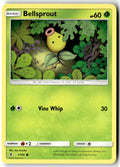 Front of Bellsprout 1/145 from SM - Guardians Rising