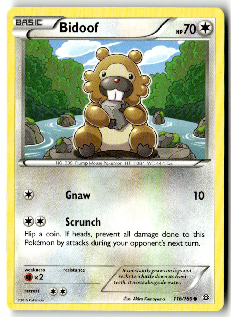 Front of Bidoof 116/160 from XY - Primal Clash