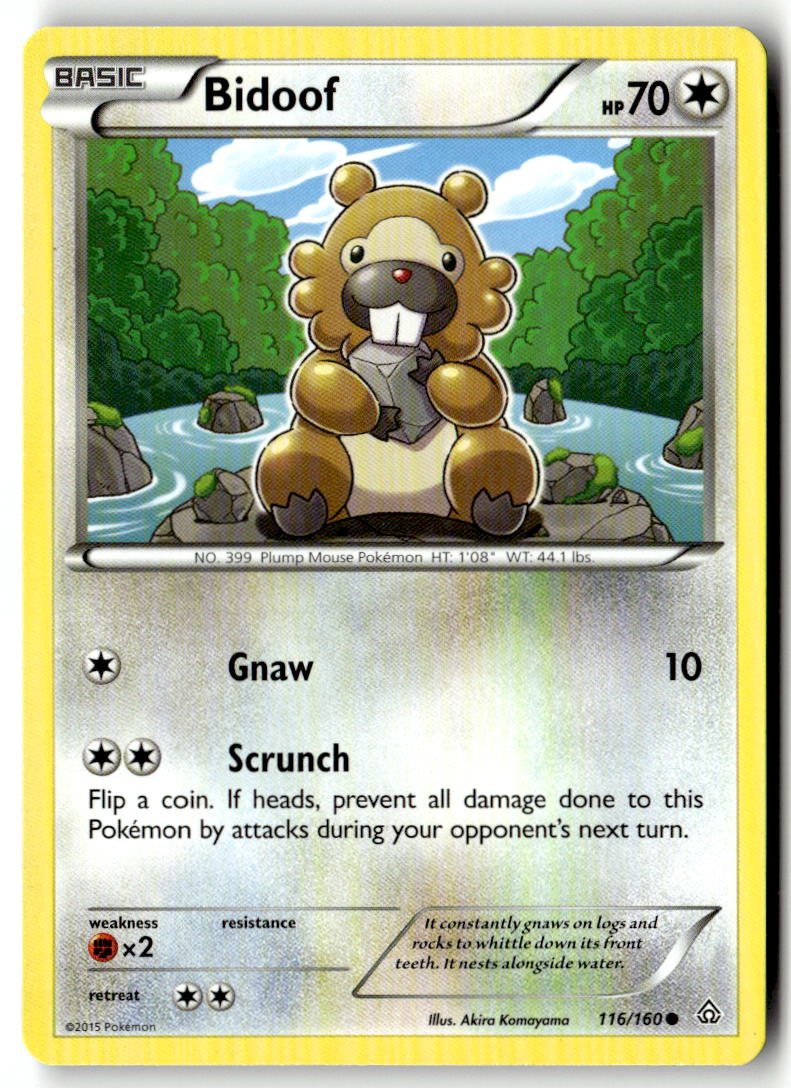 Front of Bidoof 116/160 from XY - Primal Clash