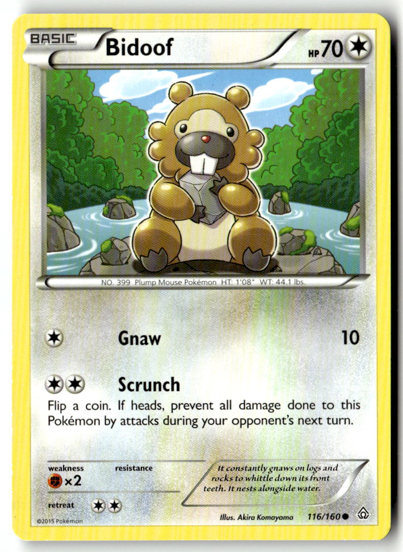 Front of Bidoof 116/160 from XY - Primal Clash