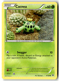 Front of Cacnea 4/162 from XY - BREAKthrough