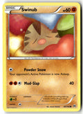 Front of Swinub 80/162 from XY - BREAKthrough