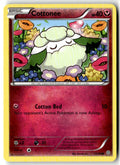 Front of Cottonee 55/98 from XY - Ancient Origins