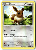 Front of Eevee 63/98 from XY - Ancient Origins