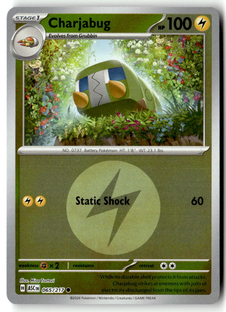 Front of Charjabug (Energy Symbol Pattern) 065/217 from Ascended Heroes