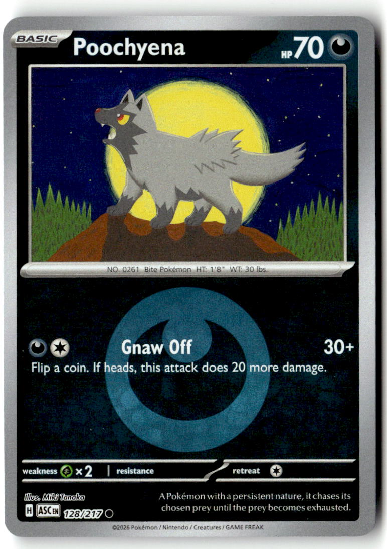 Front of Poochyena (Energy Symbol Pattern) 128/217 from Ascended Heroes