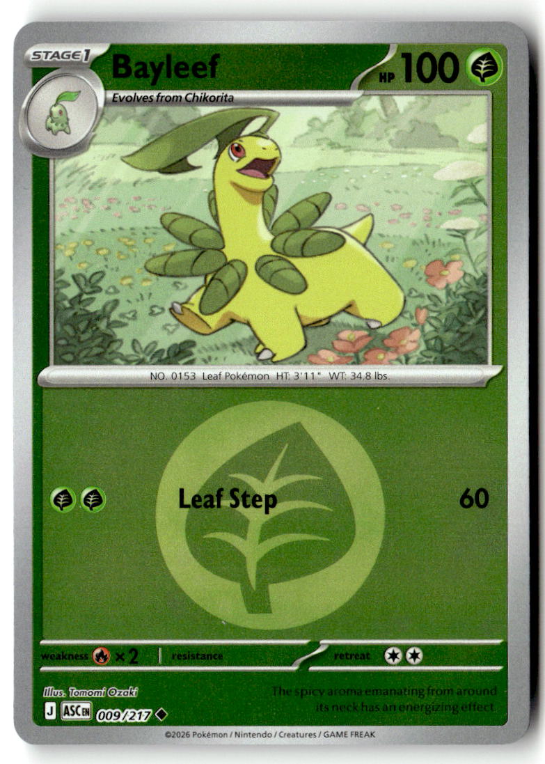 Front of Bayleef (Energy Symbol Pattern) 009/217 from Ascended Heroes