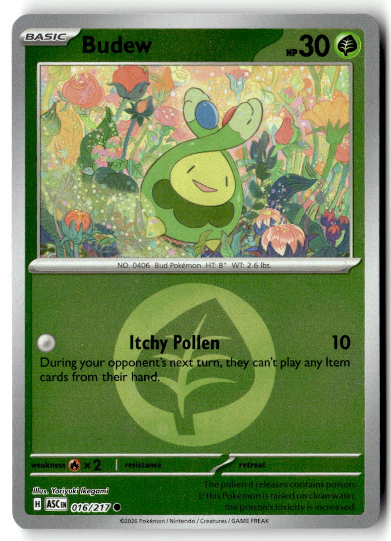 Front of Budew - 016/217 (Energy Symbol Pattern) 016/217 from Ascended Heroes