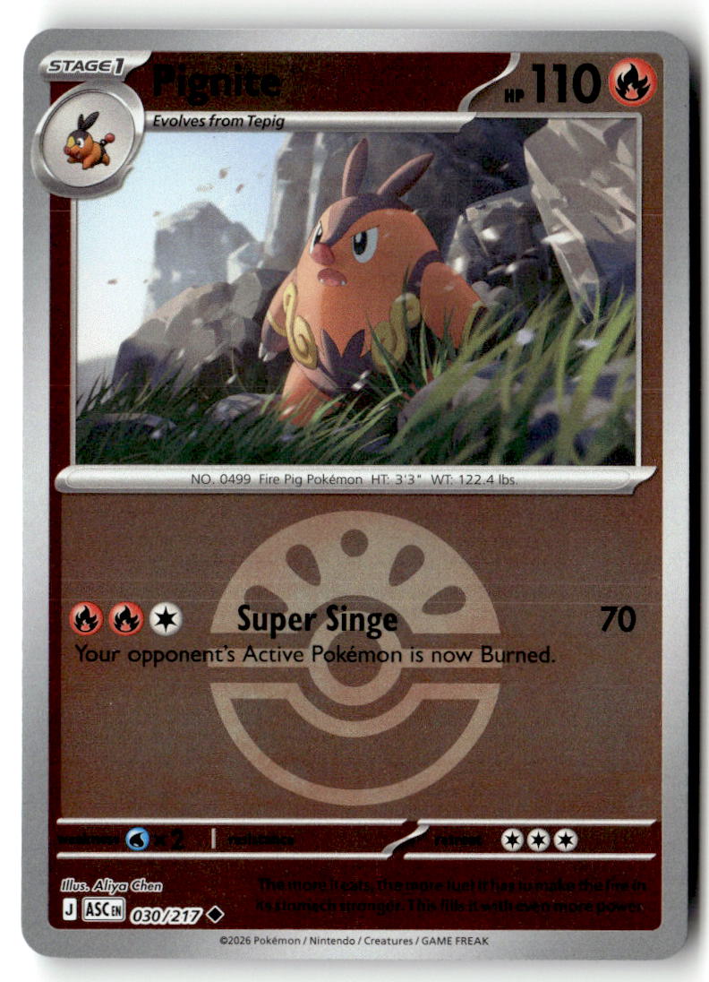 Front of Pignite (Friend Ball) 030/217 from Ascended Heroes